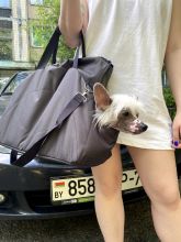 �����-��������� Zoomoda grey