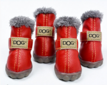 ���� "Dog" ����� �����