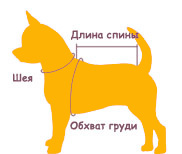 Размер одежды для собак